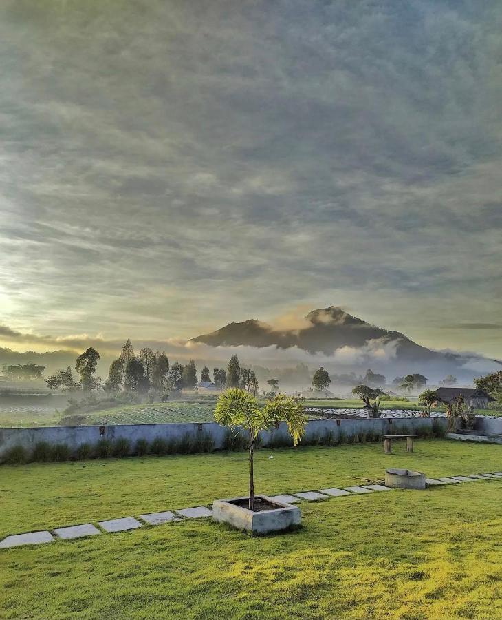Bukit Catu Bungalows Kintamani Buitenkant foto