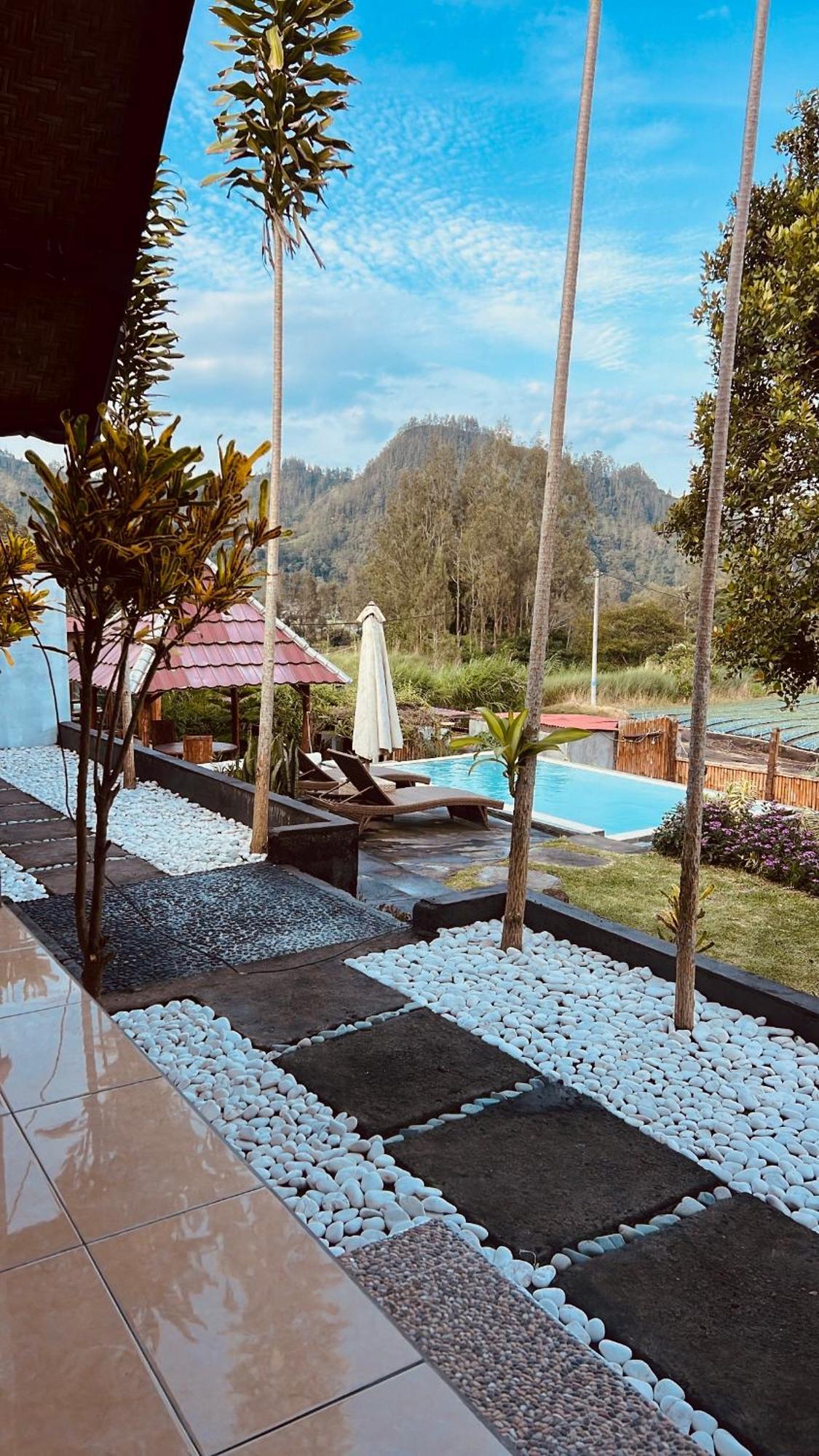 Bukit Catu Bungalows Kintamani Buitenkant foto